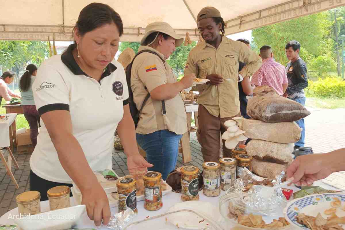 Participación de las mujeres productoras de hongos en ferias. Foto: Archivo emprendedores de la Reserva de Biosfera Sumaco