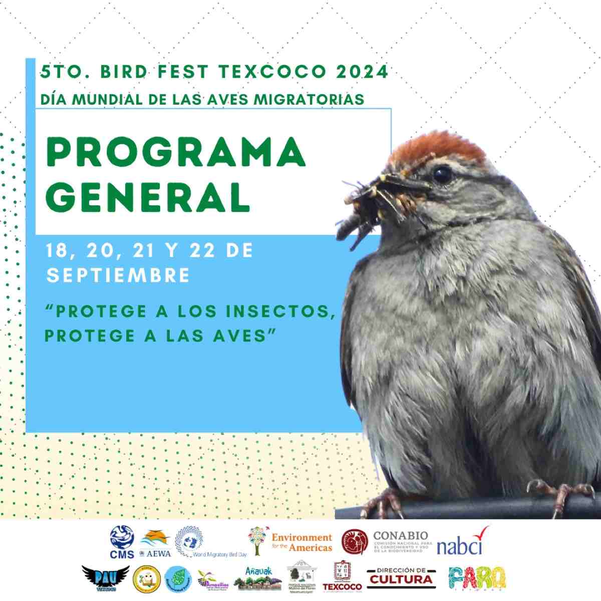 Bird Fest Texcoco