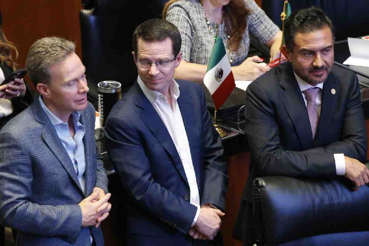 miguel angel yunes marquez senado pan veracruz reforma judicial
