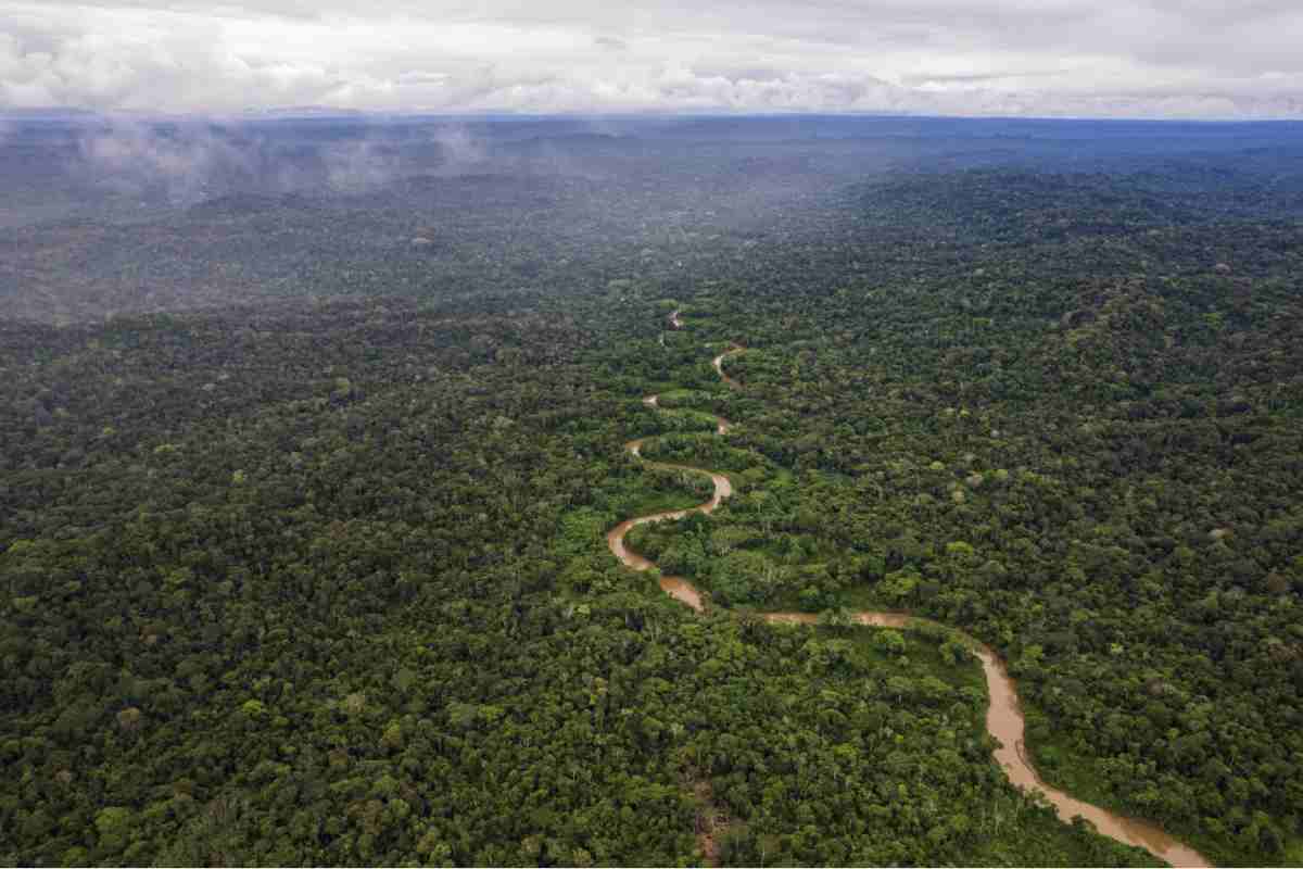 territorio waorani 