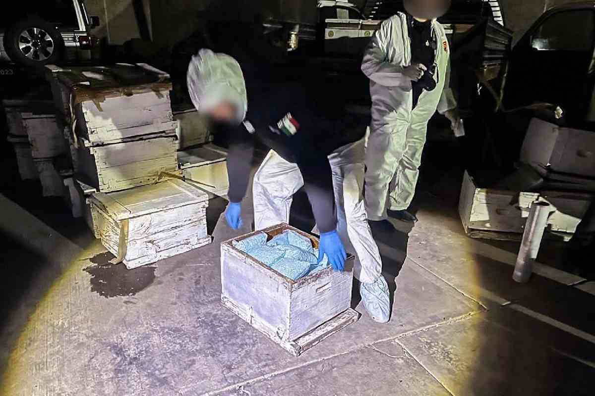 México abandonó la estrategia de reducción de daños dirigida a consumidores de drogas; criminaliza y castiga: expertas