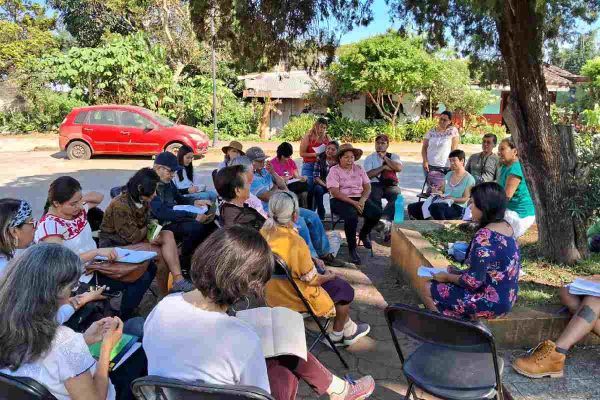 Activistas obtienen suspensión definitiva de tramos 5 y 7 del Tren Maya; “emisión resulta tardía”, señalan