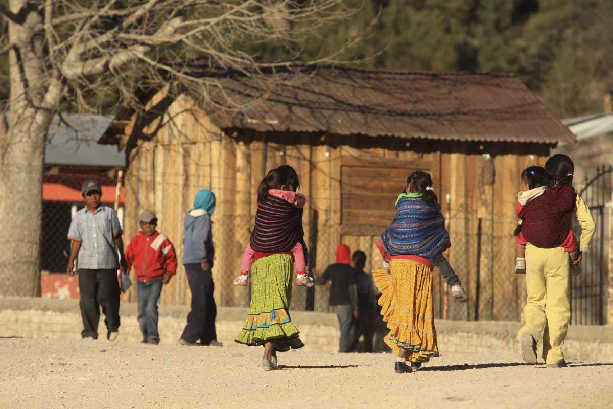 Desplazamiento forzado en Chihuahua por violencia y megaproyectos rompe lazos familiares y culturales, señala experta