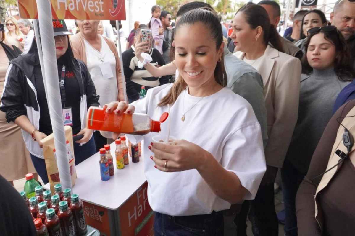 Sinaloa se reinventa: turismo y eventos