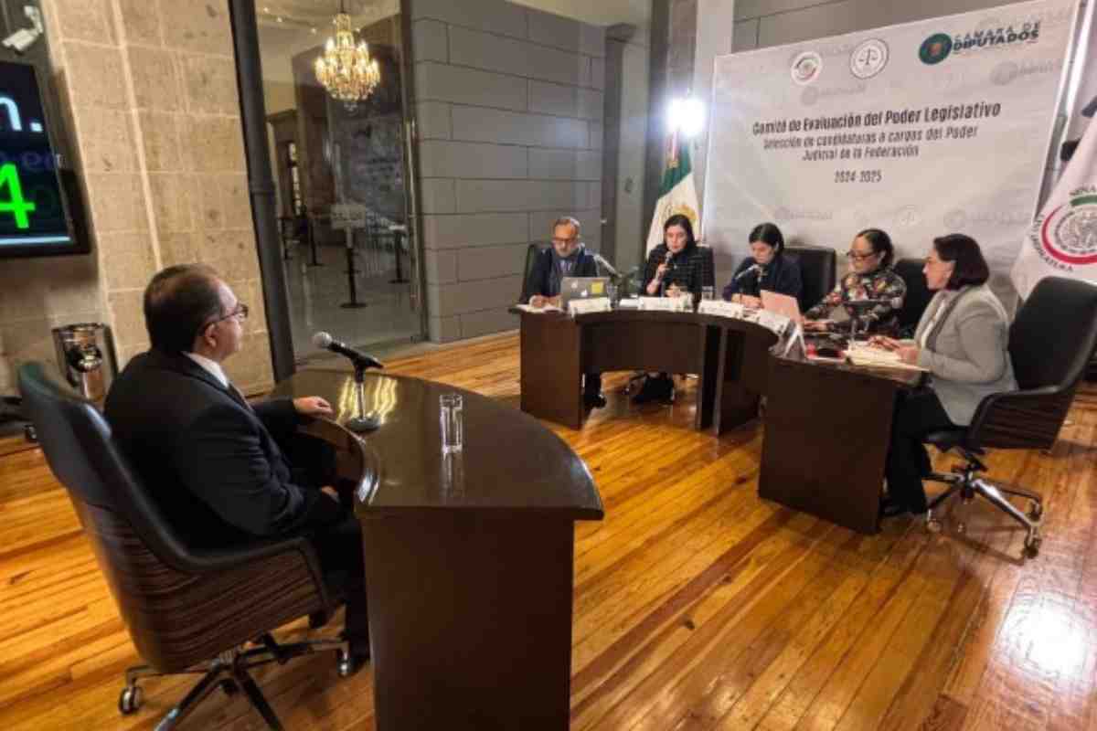 Elección judicial postura reforma aspirantes comité legislativo