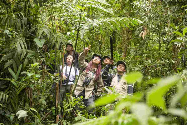 Cornejo en los bosques montanos de Amazonas, junto al equipo de Yunkawasi y Asociación de Conservación Oso Dorado Hierba Buena Allpayacu