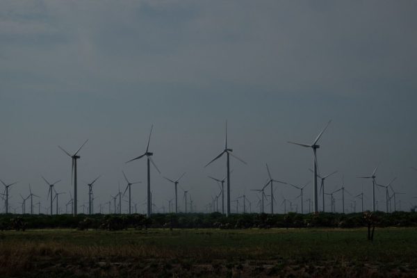 Ejidatarios alistan demanda contra empresa que opera Parque Eólico en Llera, Tamaulipas