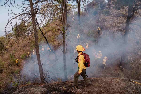 Incendio en el Tepozteco en Morelos afecta 100 hectáreas; van tres días de combate y 40 % controlado
