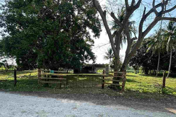 Localizan al menos un cuerpo y segmentos óseos en dos fosas clandestinas en Macuspana, Tabasco