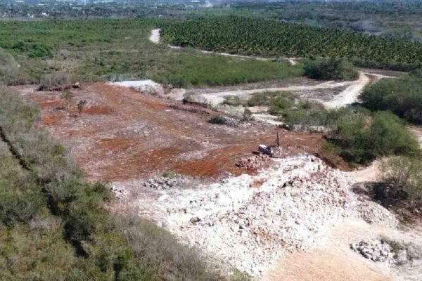 Profepa clausura predios en la Reserva Cuxtal en Mérida, Yucatán, por devastación y cambio de uso de suelo