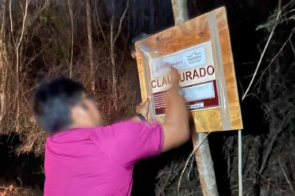 Profepa clausura predios en la Reserva Cuxtal en Mérida, Yucatán, por devastación y cambio de uso de suelo