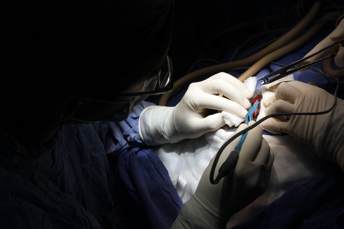 Erika luchó 10 años para reclamar una negligencia médica que le cambió la vida, pero un tribunal minimizó el daño