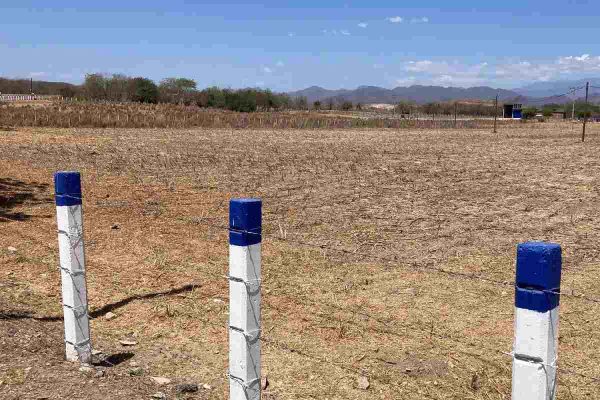 Campo seco en Concordia, Sinaloa
