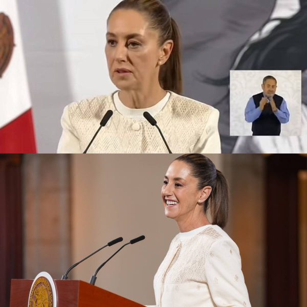 gobierno-sheinbaum-no-perrhijos-falso
