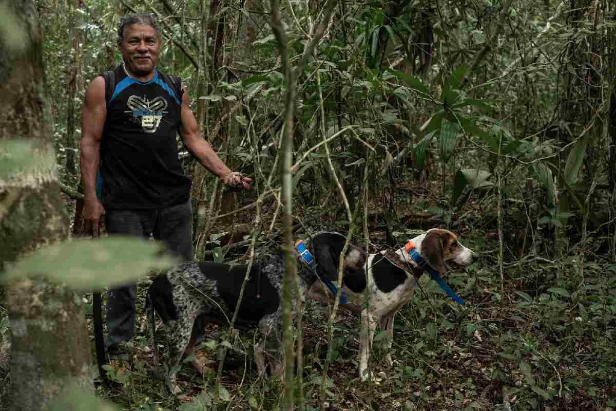 Don Manuel Cetina y los perros tigreros durante una jornada de rastreo de jaguares