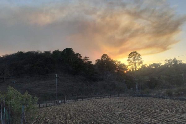 Enfrentamiento causa incendio en la sierra entre Chihuahua y Sinaloa; tardaron una semana en atenderlo