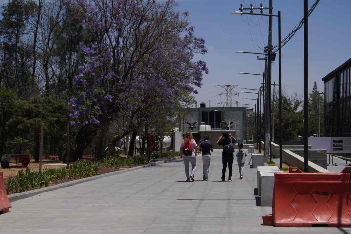 Familias se retiran de la Cineteca Chapultepec al percatarse de que aún está cerrada