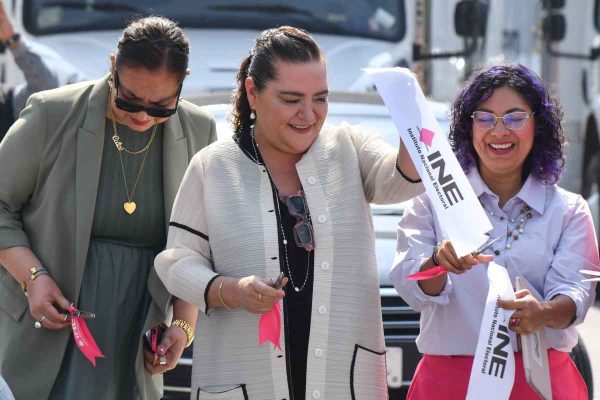 INE no puede cancelar candidaturas a elección judicial durante campañas, dice Taddei