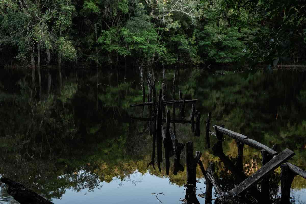 Laguna Las Palmas, en el Ejido Laguna Om