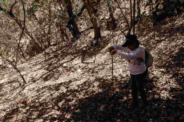 Localizan seis fosas clandestinas con segmentos humanos en la localidad de Cardona, Colima