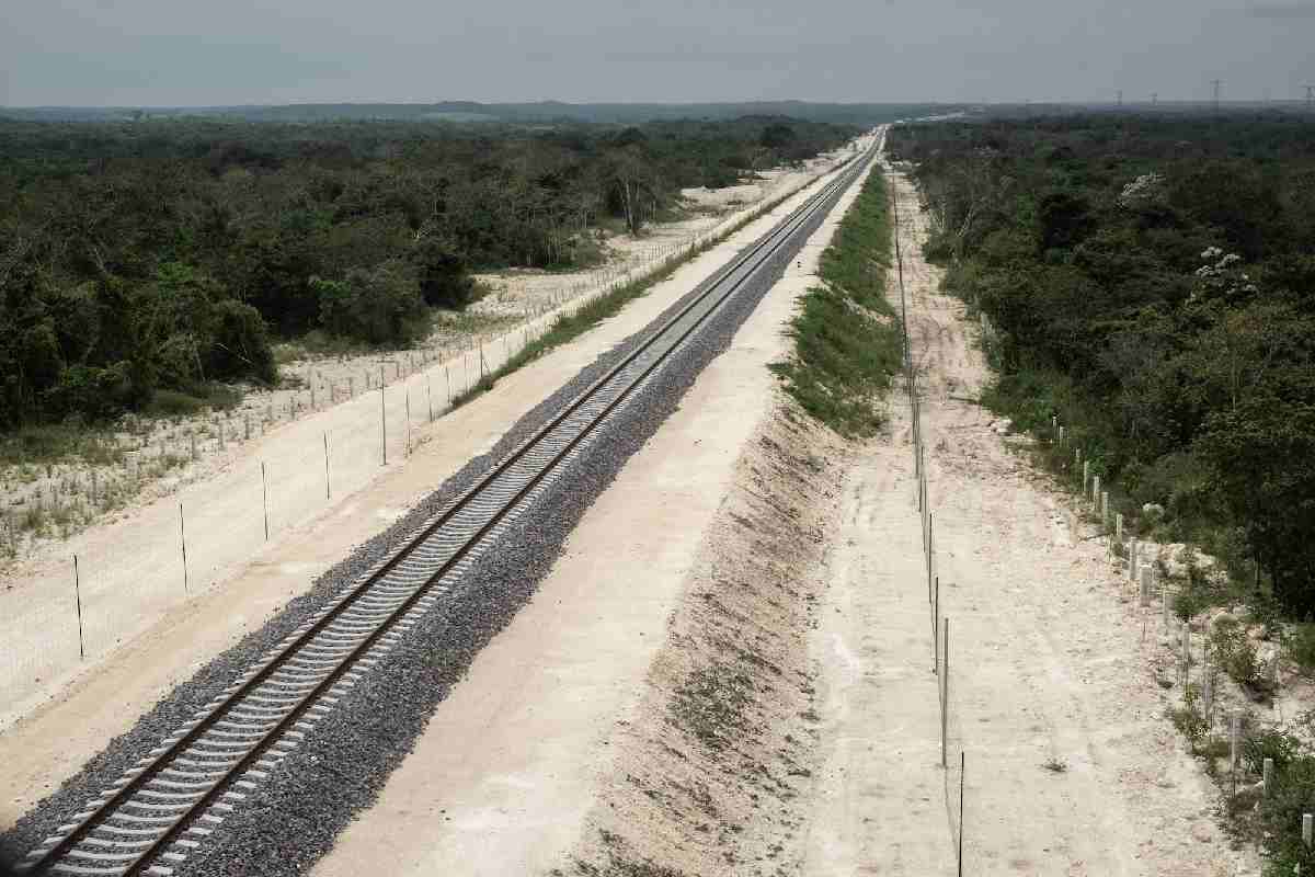 Porción del tramo 7 del Tren Maya en Quintana Roo, en el área de amortiguamiento de la Reserva de la Biosfera de Calakmul.