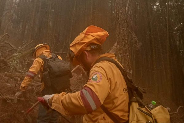 Trabajos para controlar y liquidar el incendio forestal del tepozteco