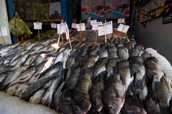 Venta de pescados en cuaresma
