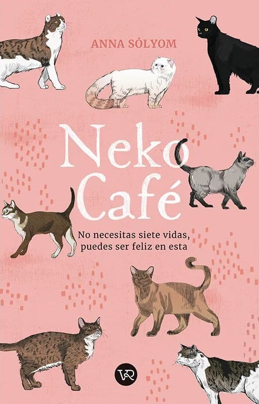 libros gatos neko cafe anna solymon