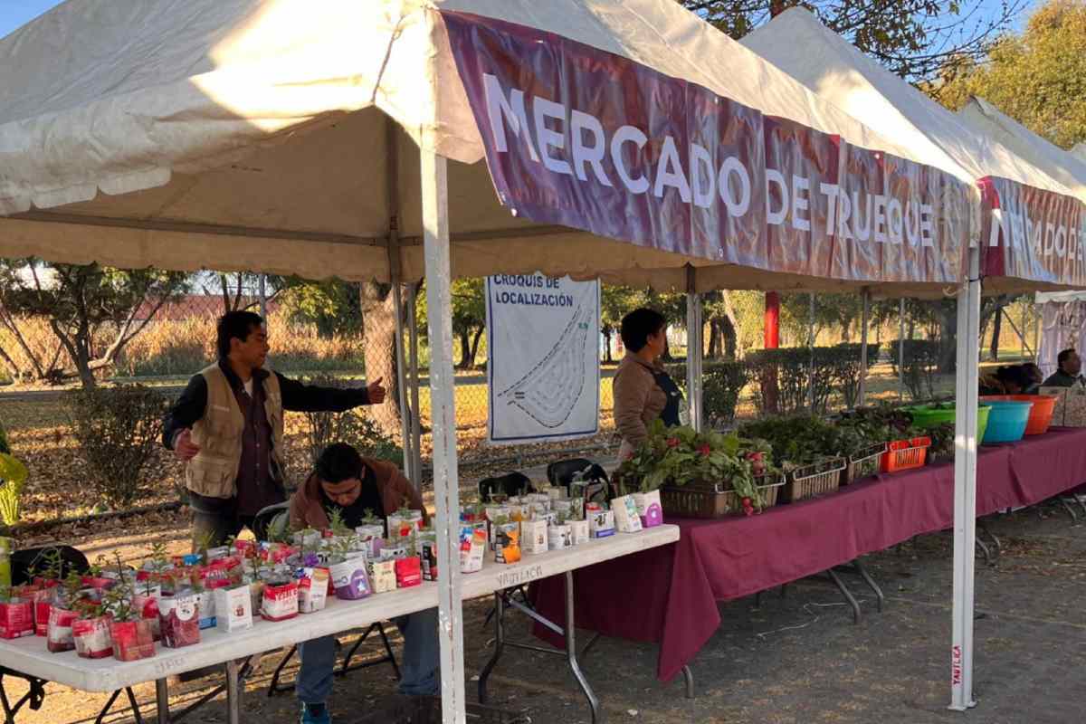 Mercado Ecológico de Trueque
