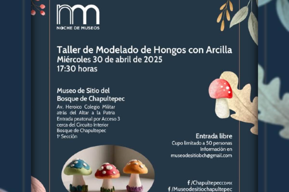 Noche de Museos.