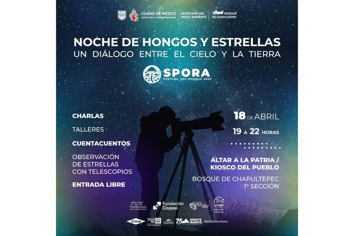 noche hongos estrellas festival bosque