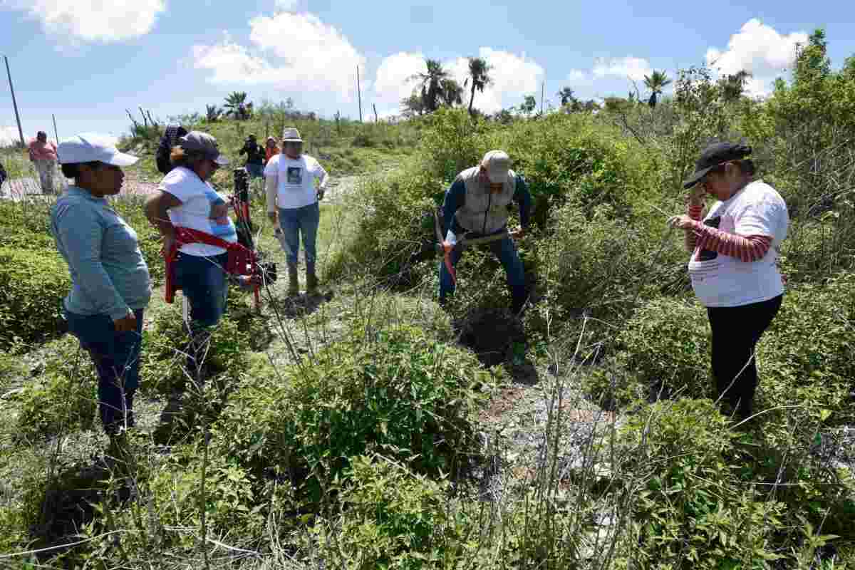 Búsqueda Desaparecidos Colima