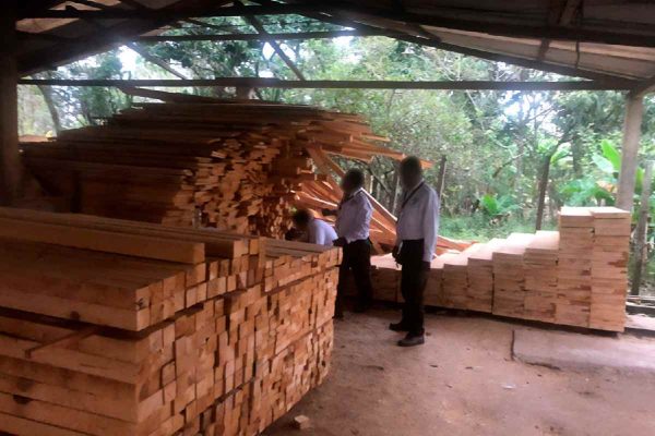 Chiapas: Profepa clausura 14 aserraderos en Altamirano y asegura más de 2 mil metros cúbicos de madera