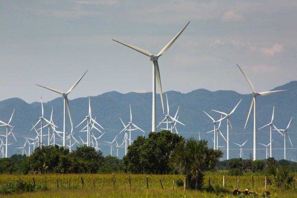 Comunidades indígenas quedan excluidas en transición energética; no fueron consultadas en proyectos