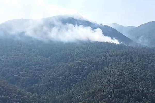 Incendio en Michoacán afecta santuario de la mariposa monarca