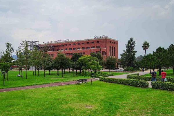 Interior del Parque Bicentenario