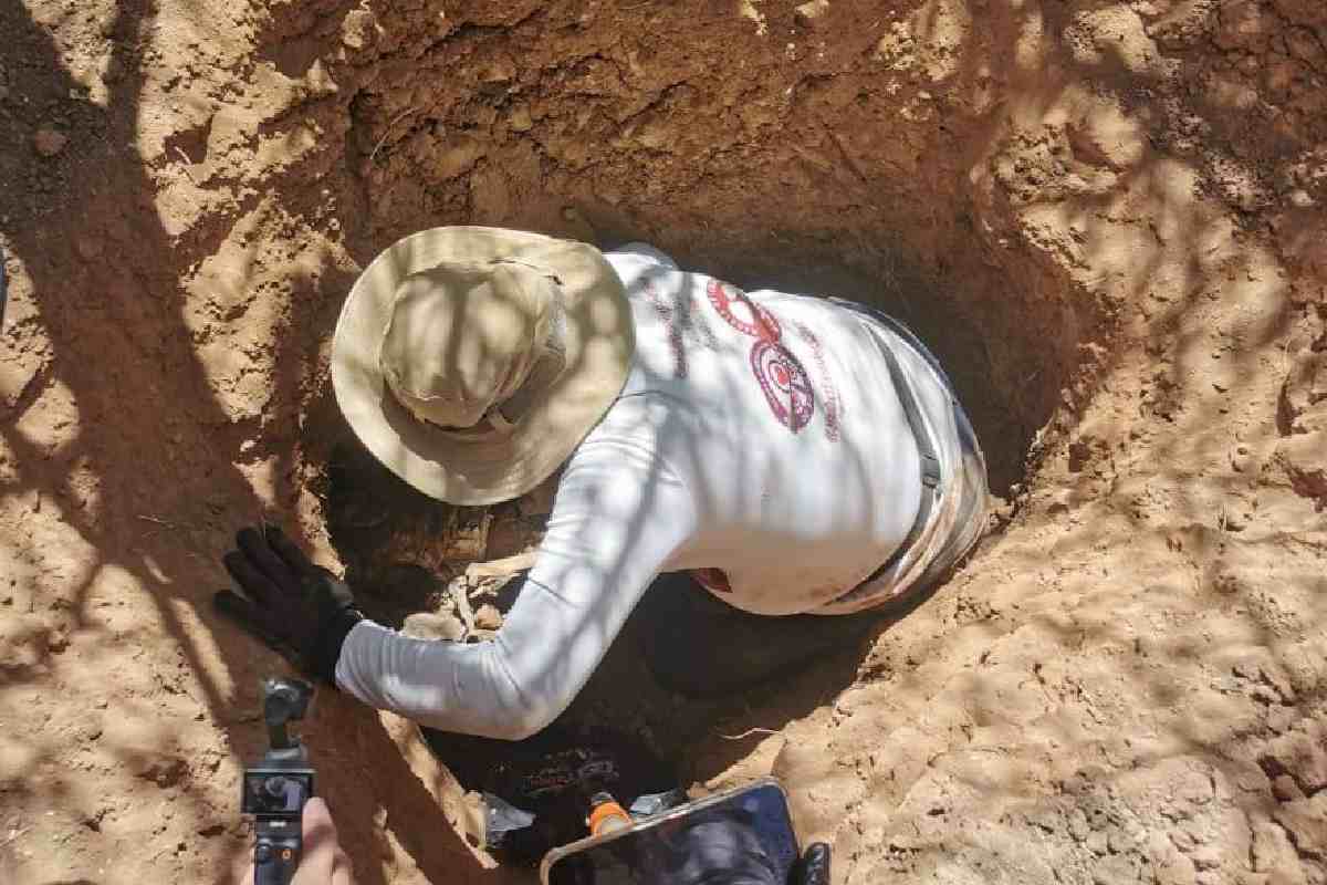 Madres Buscadoras de Sonora localizan al menos seis cuerpos en el norte de Hermosillo