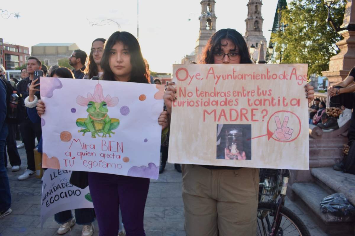 ranita de Aguascalientes