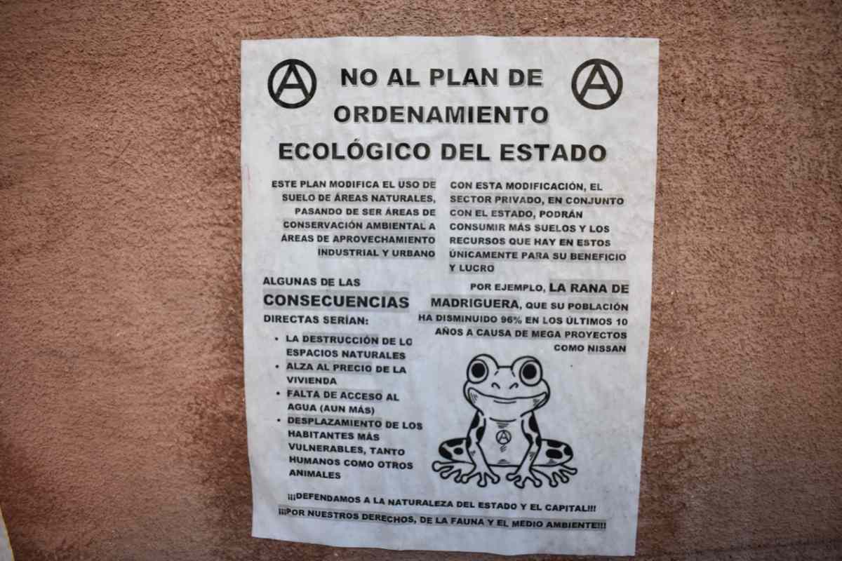 ranita de Aguascalientes