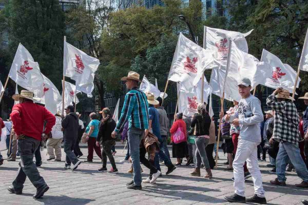 Suspenden campañas en Texistepec, Veracruz, tras asesinato de candidata de Morena