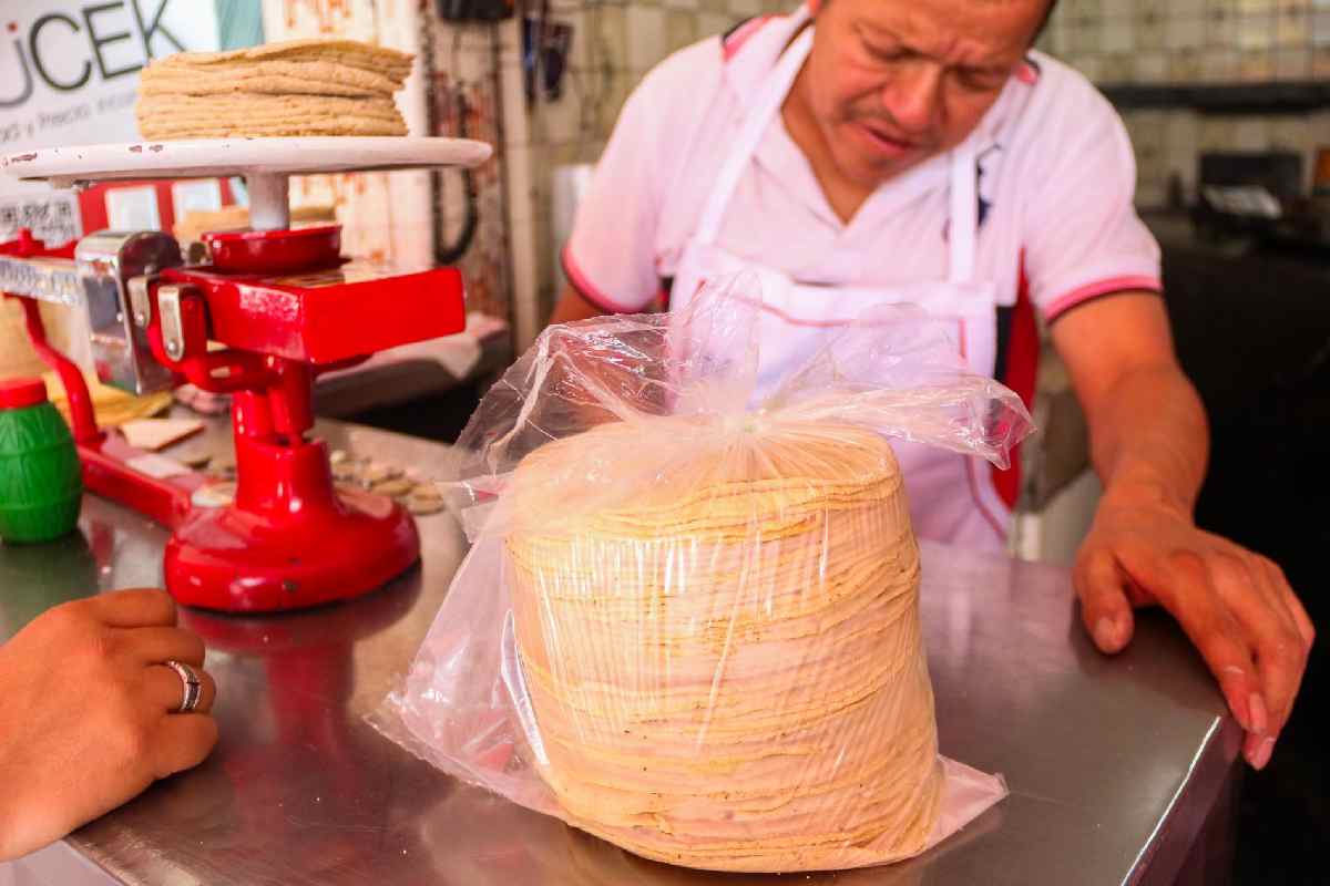 Tortilla de maíz, un producto de la canasta básica