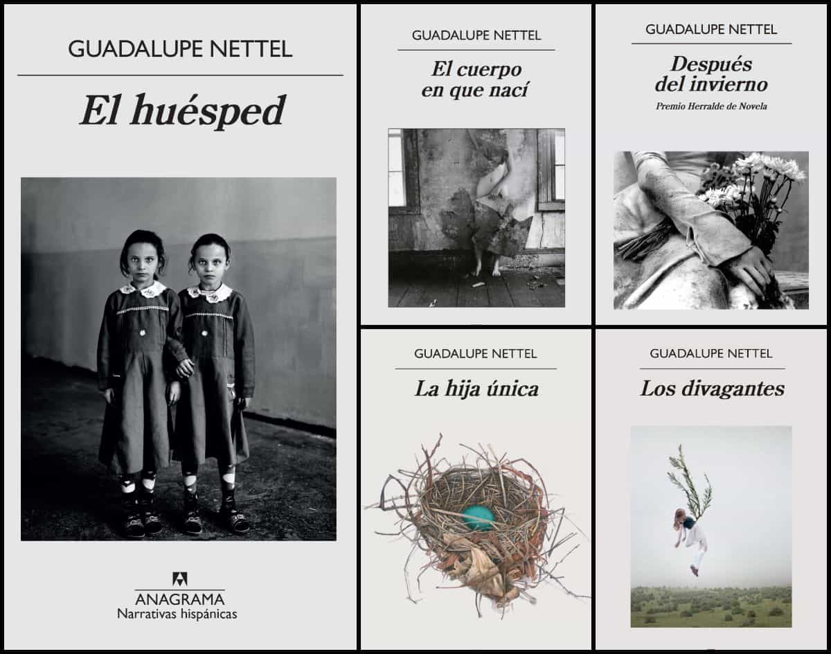 Novelas de Guadalupe Nettel
