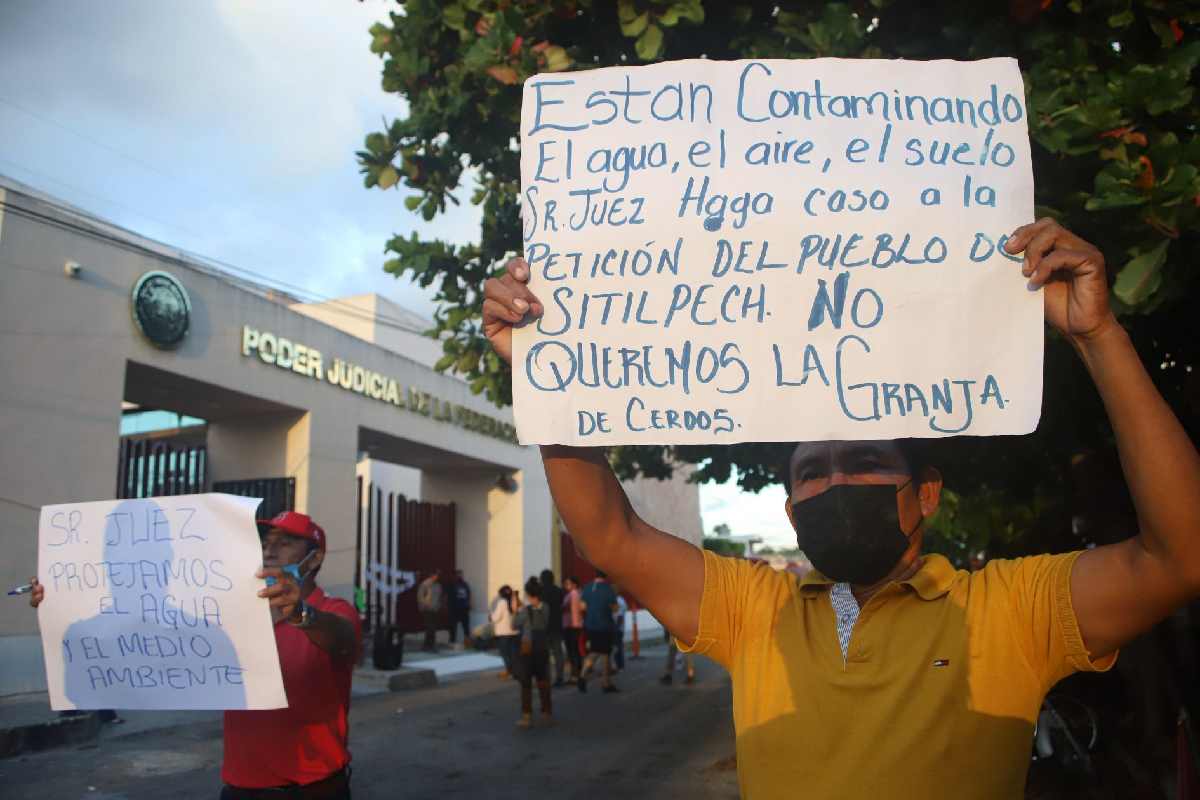 Violencia contra defensores ambientales en 2024: el Estado es el principal agente agresor