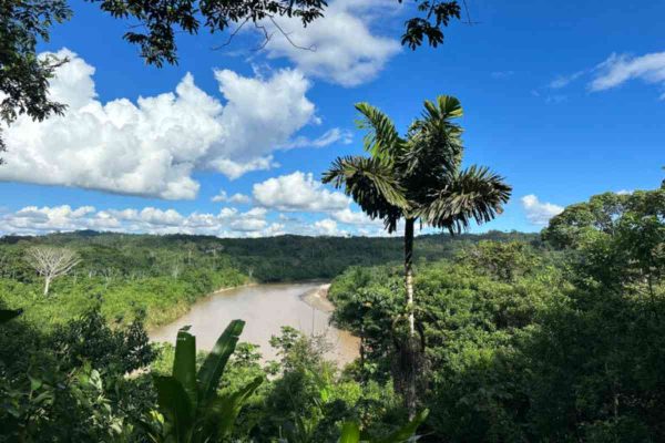 24 sentencias de Corte Interamericana a favor de pueblos indígenas están pendientes de cumplimiento