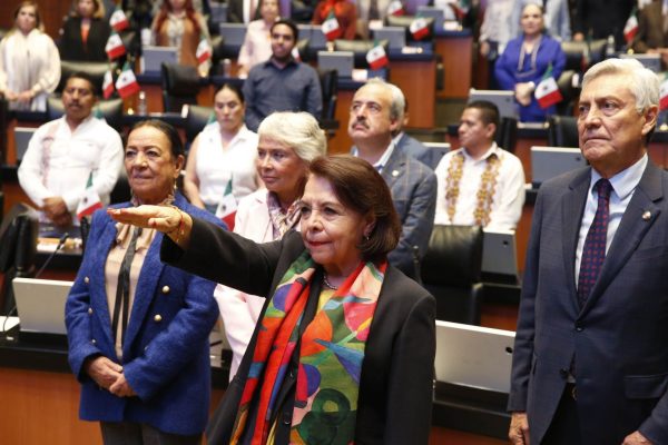 celia-maya-senado