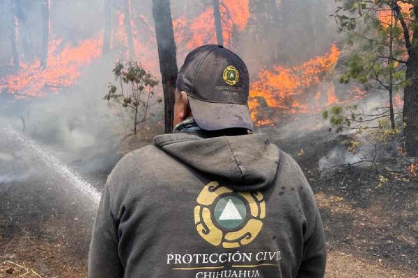 Chihuahua es el estado con más afectaciones por incendios forestales; 30 % fueron intencionales