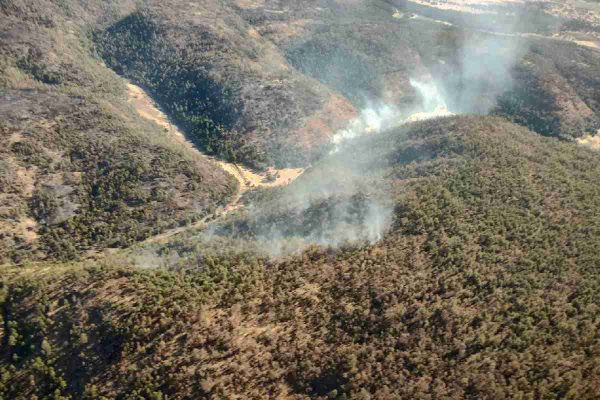Chihuahua es el estado con más afectaciones por incendios forestales; 30 % fueron intencionales