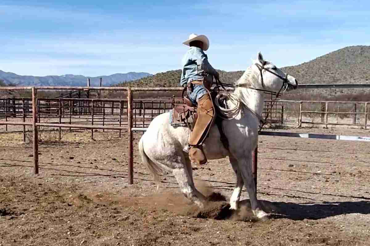 Eleuterio influencer jinete sin fronteras Coahuila Ocampo preso delitos