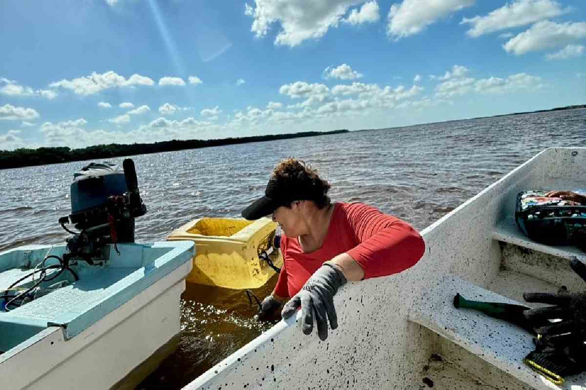 En su mayoría son mujeres las que pescan esta especie de caracol