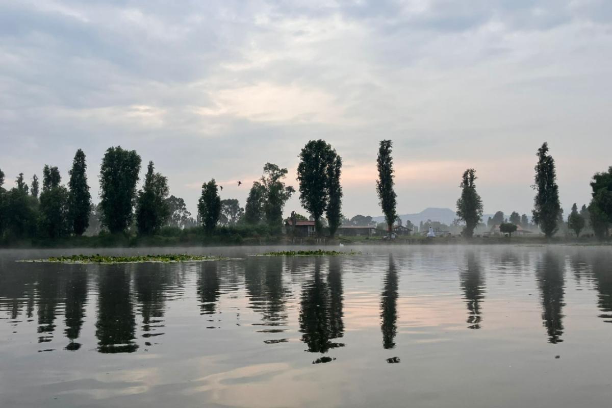 Plan Ambiental CDMX